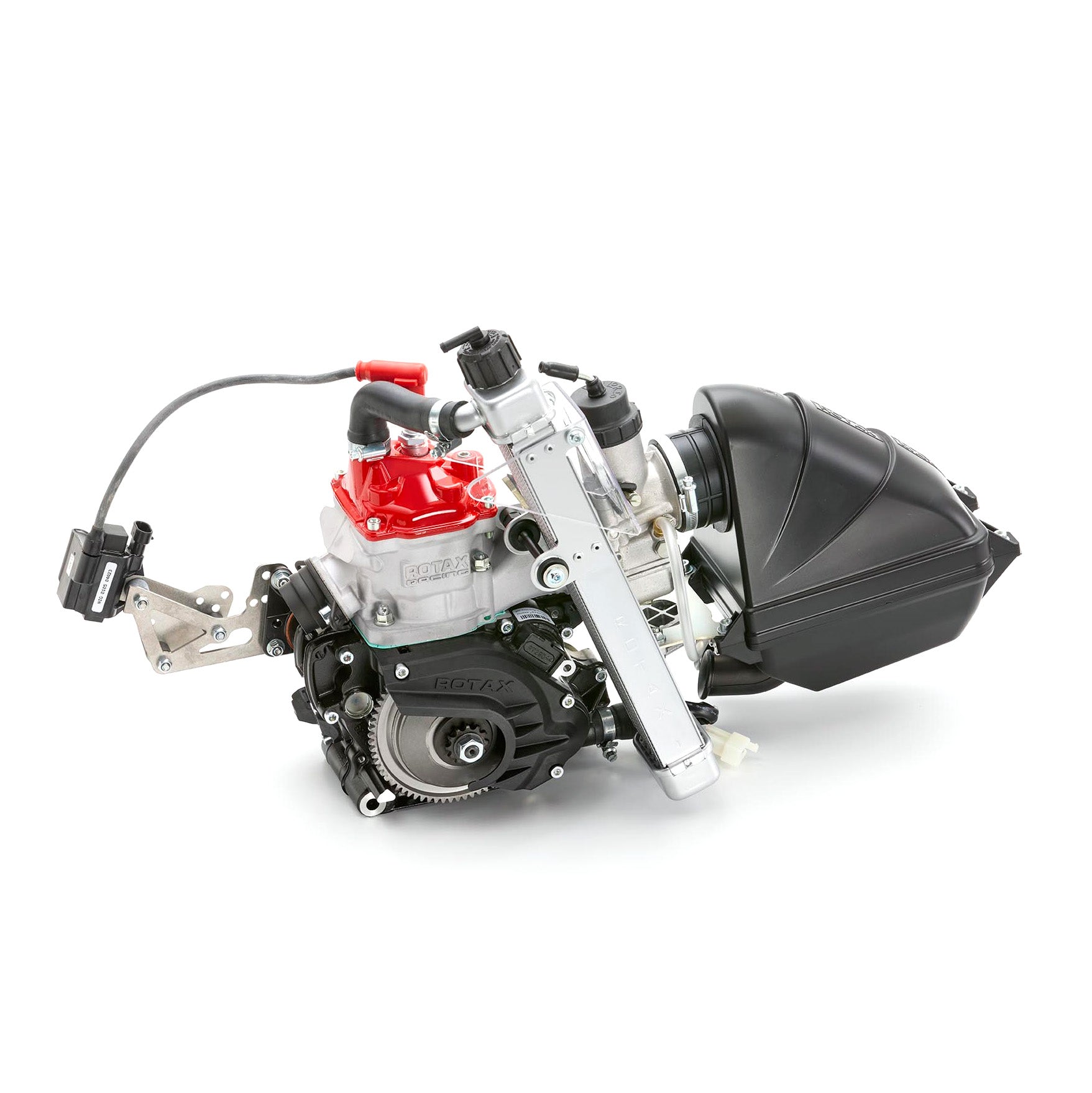 Rotax 125 Max Mini Evo