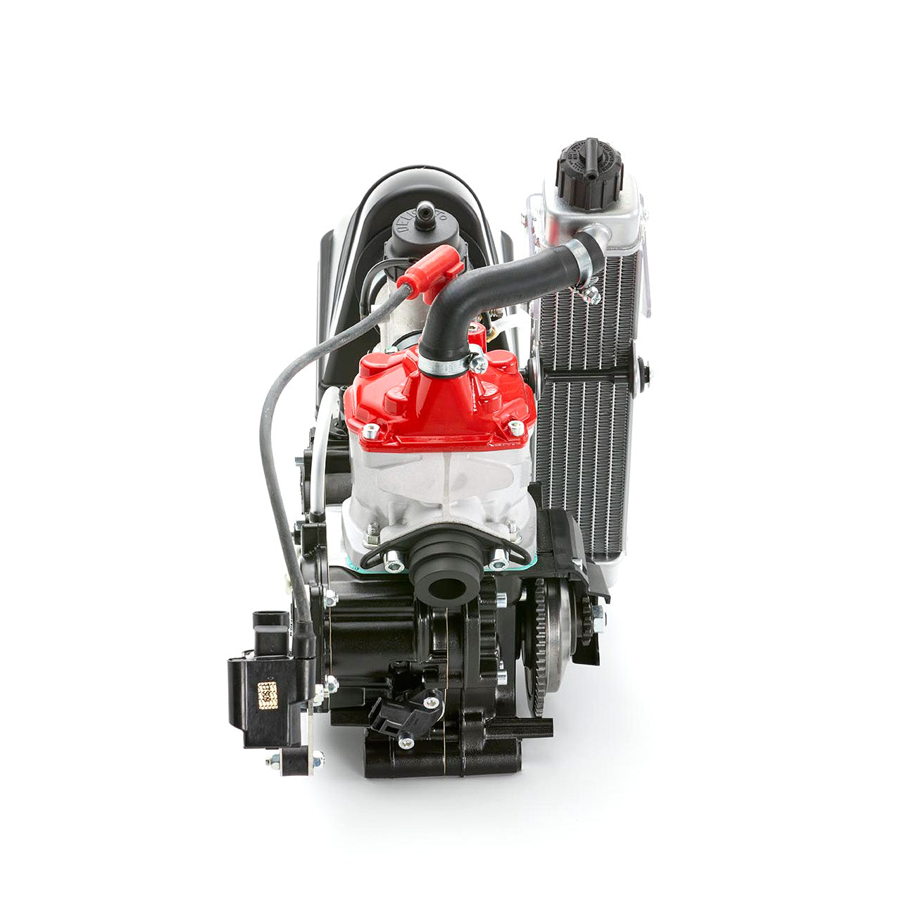 Rotax 125 Max Mini Evo