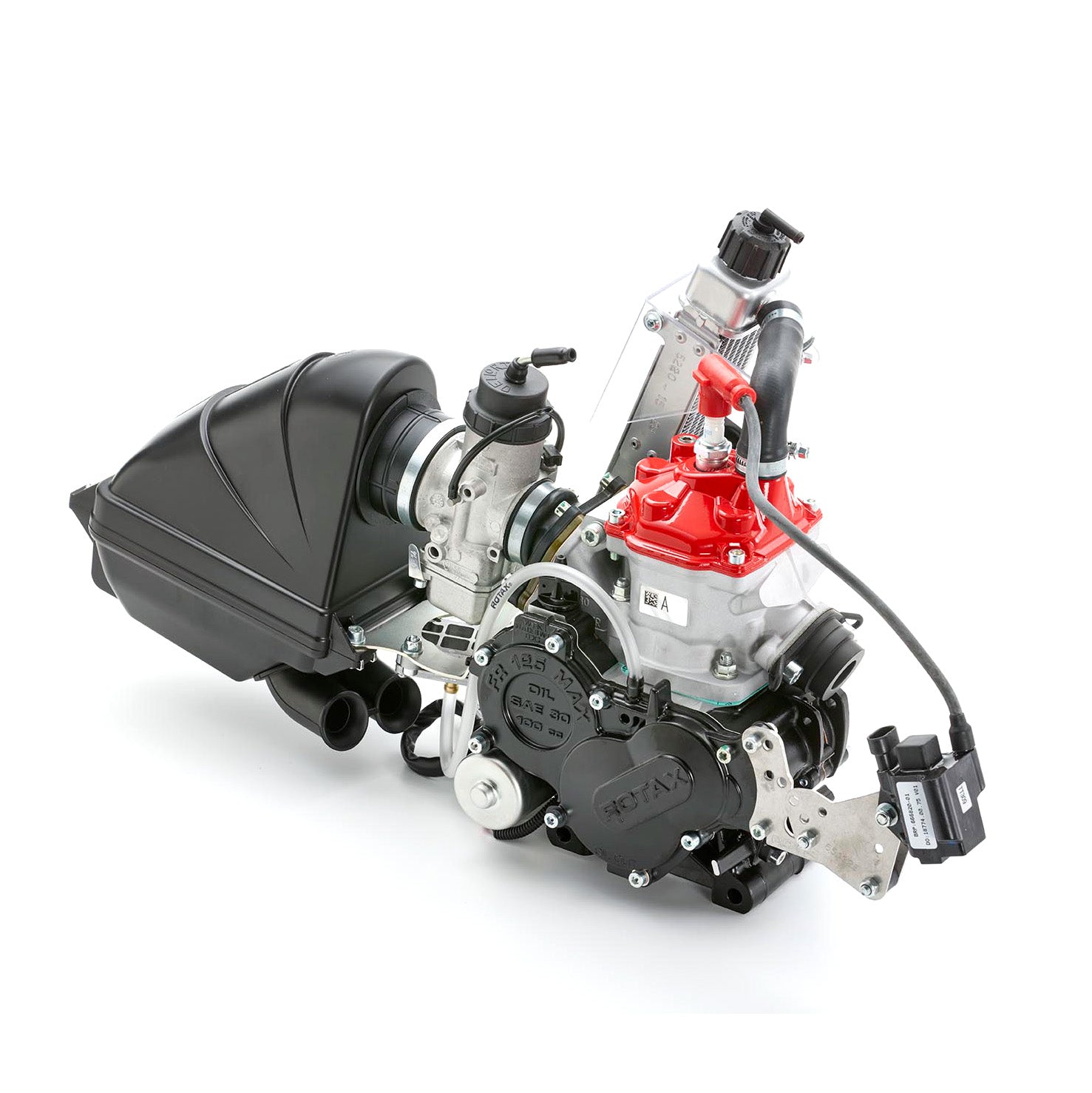 Rotax 125 Max Mini Evo