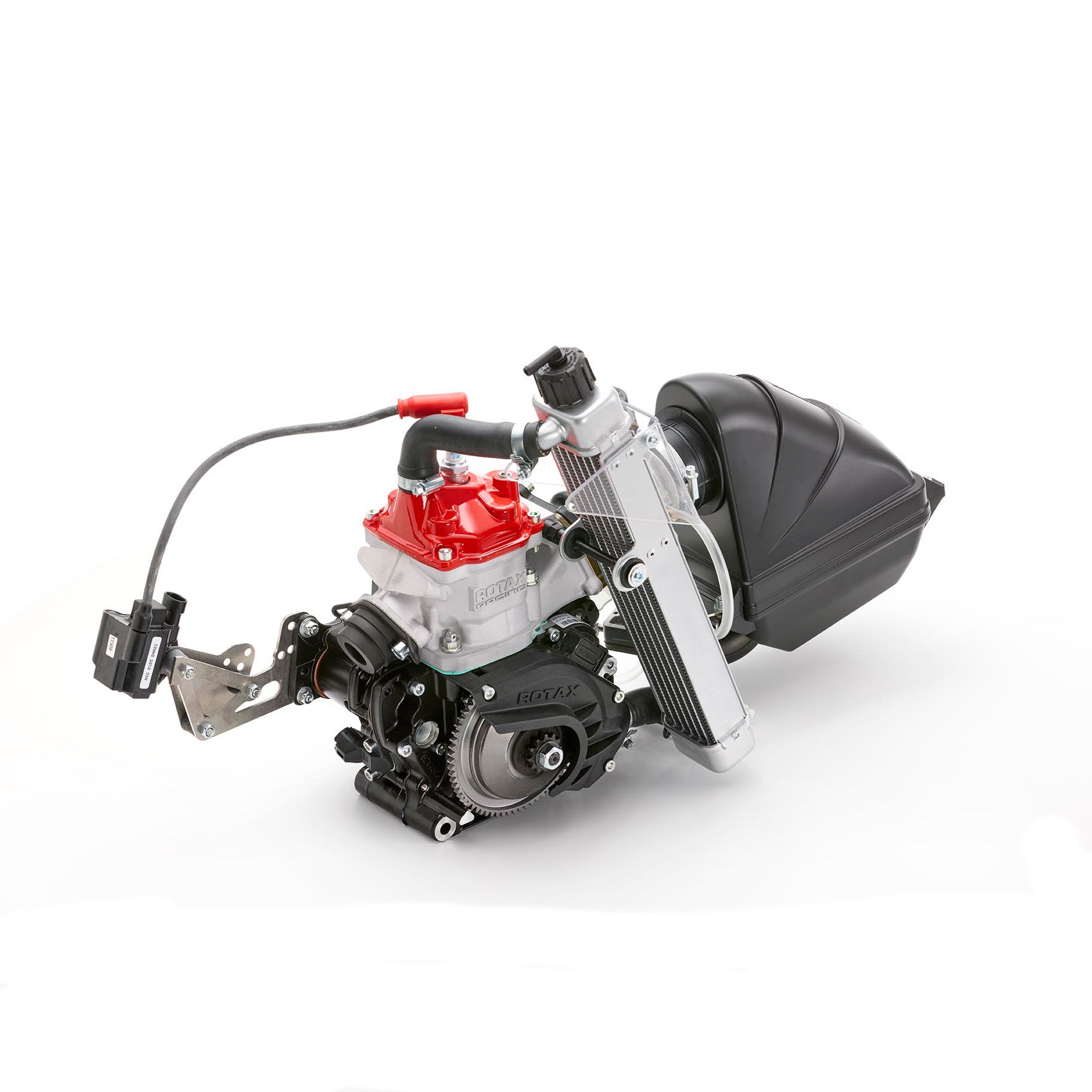 Rotax 125 Max Micro Evo